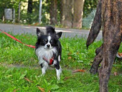 /images/2019-09-22-diego/M9F_1715_v1.thumbnail.JPG