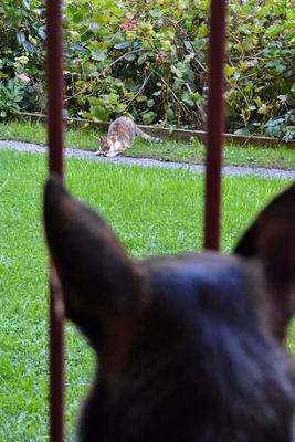 /images/2020-01-04-dora-lucky/M9F_1103_v3.thumbnail.JPG