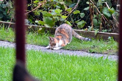/images/2020-01-04-dora-lucky/M9F_1103_v5.thumbnail.JPG