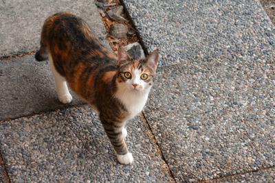 /images/2020-01-04-dora-lucky/M9F_1110_v2.thumbnail.JPG