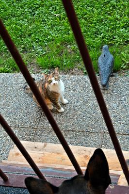 /images/2020-01-04-dora-lucky/M9F_1113_v4.thumbnail.JPG