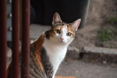 /images/2020-01-04-dora-lucky/M9F_1433_v2.thumbnail.JPG