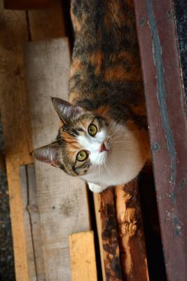 /images/2020-01-04-dora-lucky/M9F_1757_v2.thumbnail.JPG