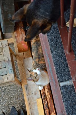 /images/2020-01-04-dora-lucky/M9F_1758_v2.thumbnail.JPG