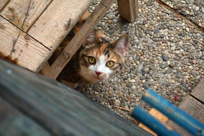 /images/2020-01-04-dora-lucky/M9F_1761_v2.thumbnail.JPG