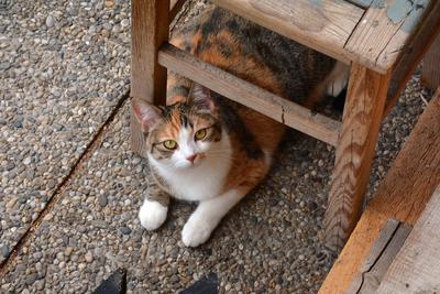 /images/2020-01-04-dora-lucky/M9F_1780_v2.thumbnail.JPG
