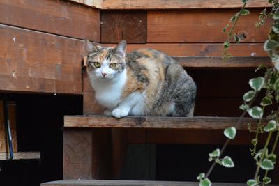 /images/2020-01-04-dora-lucky/M9F_2065_v2.thumbnail.JPG