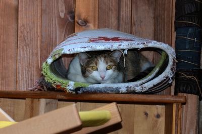 /images/2020-01-04-dora-lucky/M9F_2070_v2.thumbnail.JPG