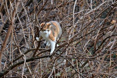 /images/2020-01-04-dora-lucky/M9F_3492_v2.thumbnail.JPG