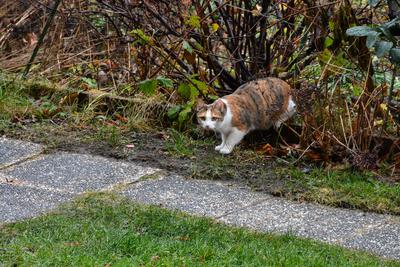 /images/2020-01-04-dora-lucky/M9F_3493_v2.thumbnail.JPG