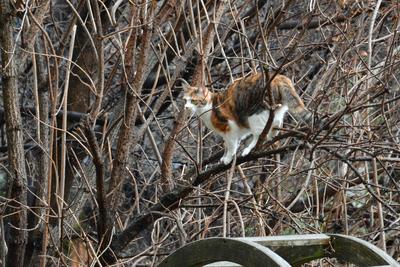 /images/2020-01-04-dora-lucky/M9F_3496_v2.thumbnail.JPG