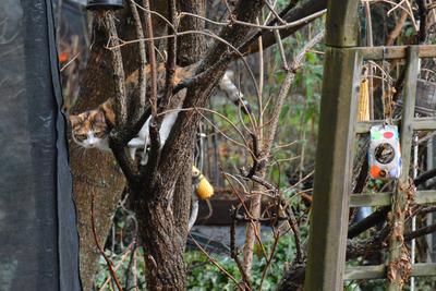 /images/2020-01-04-dora-lucky/M9F_3499_v2.thumbnail.JPG