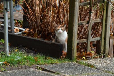 /images/2020-01-04-dora-lucky/M9F_3502_v2.thumbnail.JPG