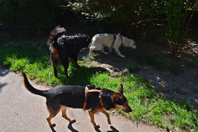 /images/2021-06-16-amy-stoffi-huzo/M9F_8814_v2.thumbnail.JPG