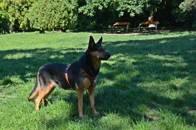 /images/2021-06-16-amy-stoffi-huzo/M9F_8817_v2.thumbnail.JPG