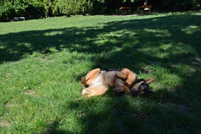 /images/2021-06-16-amy-stoffi-huzo/M9F_8819_v2.thumbnail.JPG
