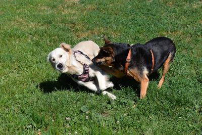 /images/2021-06-16-amy-stoffi-huzo/M9F_8823_v2.thumbnail.JPG