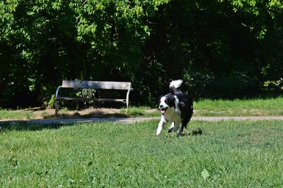 /images/2021-06-16-amy-stoffi-huzo/M9F_8824_v2.thumbnail.JPG