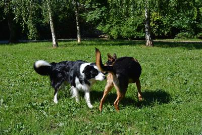 /images/2021-06-16-amy-stoffi-huzo/M9F_8827_v2.thumbnail.JPG