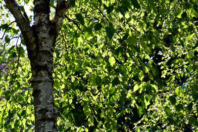 /images/2021-06-16-amy-stoffi-huzo/M9F_8829_v2.thumbnail.JPG