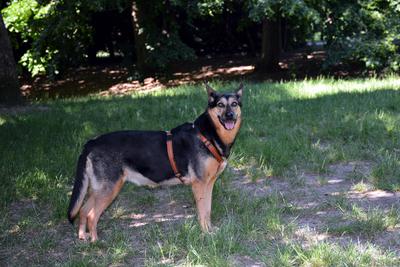 /images/2021-06-16-amy-stoffi-huzo/M9F_8833_v2.thumbnail.JPG