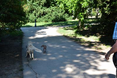 /images/2021-06-16-amy-stoffi-huzo/M9F_8835_v2.thumbnail.JPG