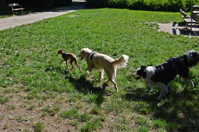 /images/2021-06-16-amy-stoffi-huzo/M9F_8840_v2.thumbnail.JPG