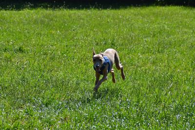 /images/2021-06-16-amy-stoffi-huzo/M9F_8842_v2.thumbnail.JPG