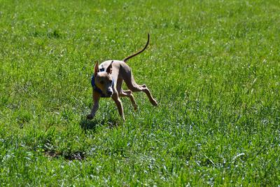 /images/2021-06-16-amy-stoffi-huzo/M9F_8843_v2.thumbnail.JPG