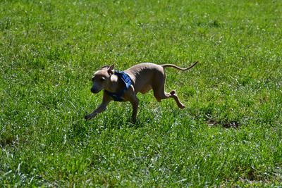 /images/2021-06-16-amy-stoffi-huzo/M9F_8844_v2.thumbnail.JPG
