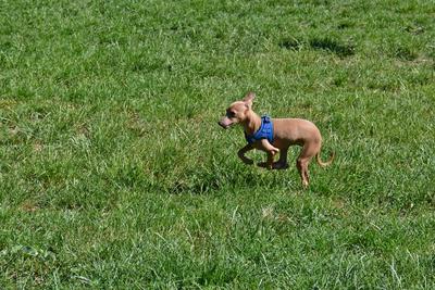 /images/2021-06-16-amy-stoffi-huzo/M9F_8845_v2.thumbnail.JPG