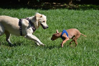 /images/2021-06-16-amy-stoffi-huzo/M9F_8846_v2.thumbnail.JPG