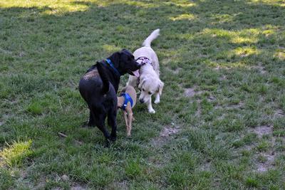 /images/2021-06-16-amy-stoffi-huzo/M9F_8851_v2.thumbnail.JPG