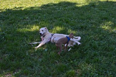 /images/2021-06-16-amy-stoffi-huzo/M9F_8859_v2.thumbnail.JPG