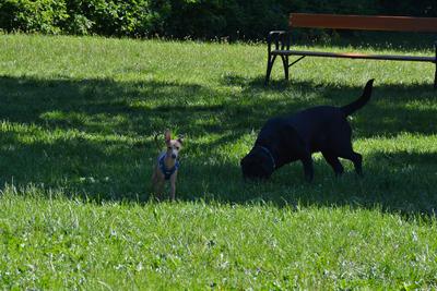 /images/2021-06-16-amy-stoffi-huzo/M9F_8861_v2.thumbnail.JPG