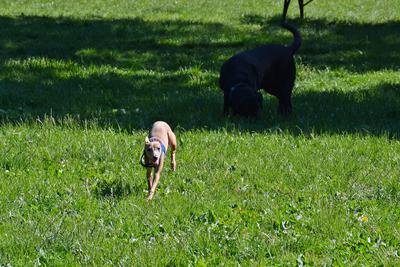 /images/2021-06-16-amy-stoffi-huzo/M9F_8862_v2.thumbnail.JPG