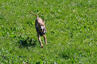 /images/2021-06-16-amy-stoffi-huzo/M9F_8865_v2.thumbnail.JPG