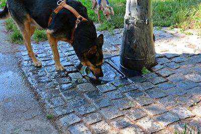 /images/2021-06-16-amy-stoffi-huzo/M9F_8866_v2.thumbnail.JPG