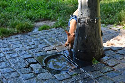 /images/2021-06-16-amy-stoffi-huzo/M9F_8867_v2.thumbnail.JPG