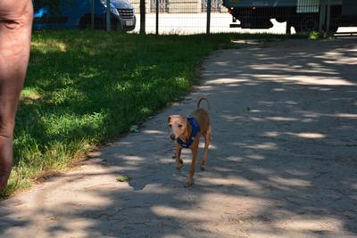 /images/2021-06-16-amy-stoffi-huzo/M9F_8869_v2.thumbnail.JPG