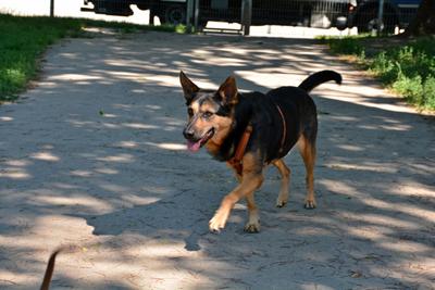 /images/2021-06-16-amy-stoffi-huzo/M9F_8870_v2.thumbnail.JPG
