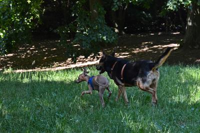 /images/2021-06-16-amy-stoffi-huzo/M9F_8873_v2.thumbnail.JPG