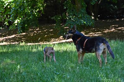 /images/2021-06-16-amy-stoffi-huzo/M9F_8874_v2.thumbnail.JPG