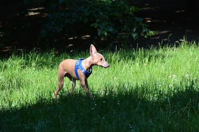 /images/2021-06-16-amy-stoffi-huzo/M9F_8875_v2.thumbnail.JPG