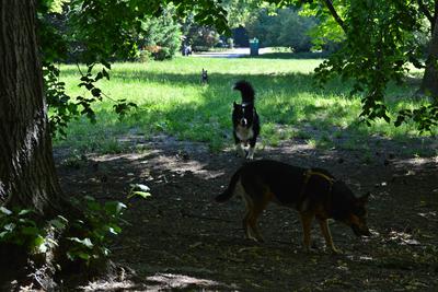/images/2021-06-16-amy-stoffi-huzo/M9F_8878_v2.thumbnail.JPG