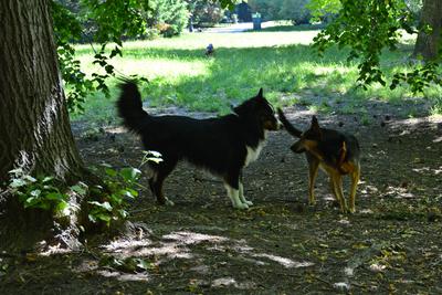 /images/2021-06-16-amy-stoffi-huzo/M9F_8879_v2.thumbnail.JPG