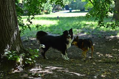 /images/2021-06-16-amy-stoffi-huzo/M9F_8880_v2.thumbnail.JPG