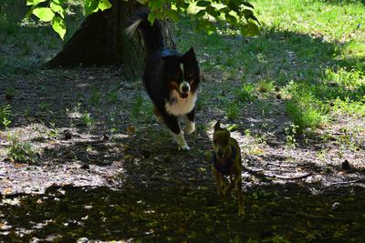 /images/2021-06-16-amy-stoffi-huzo/M9F_8883_v2.thumbnail.JPG