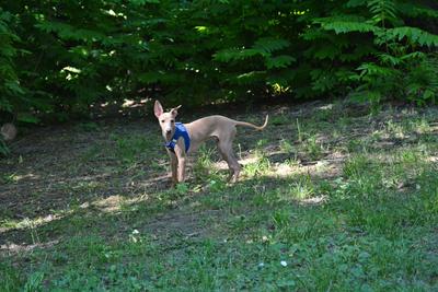 /images/2021-06-16-amy-stoffi-huzo/M9F_8888_v2.thumbnail.JPG