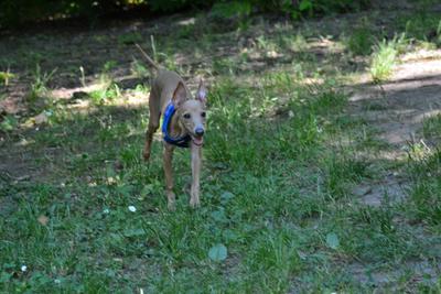 /images/2021-06-16-amy-stoffi-huzo/M9F_8889_v2.thumbnail.JPG